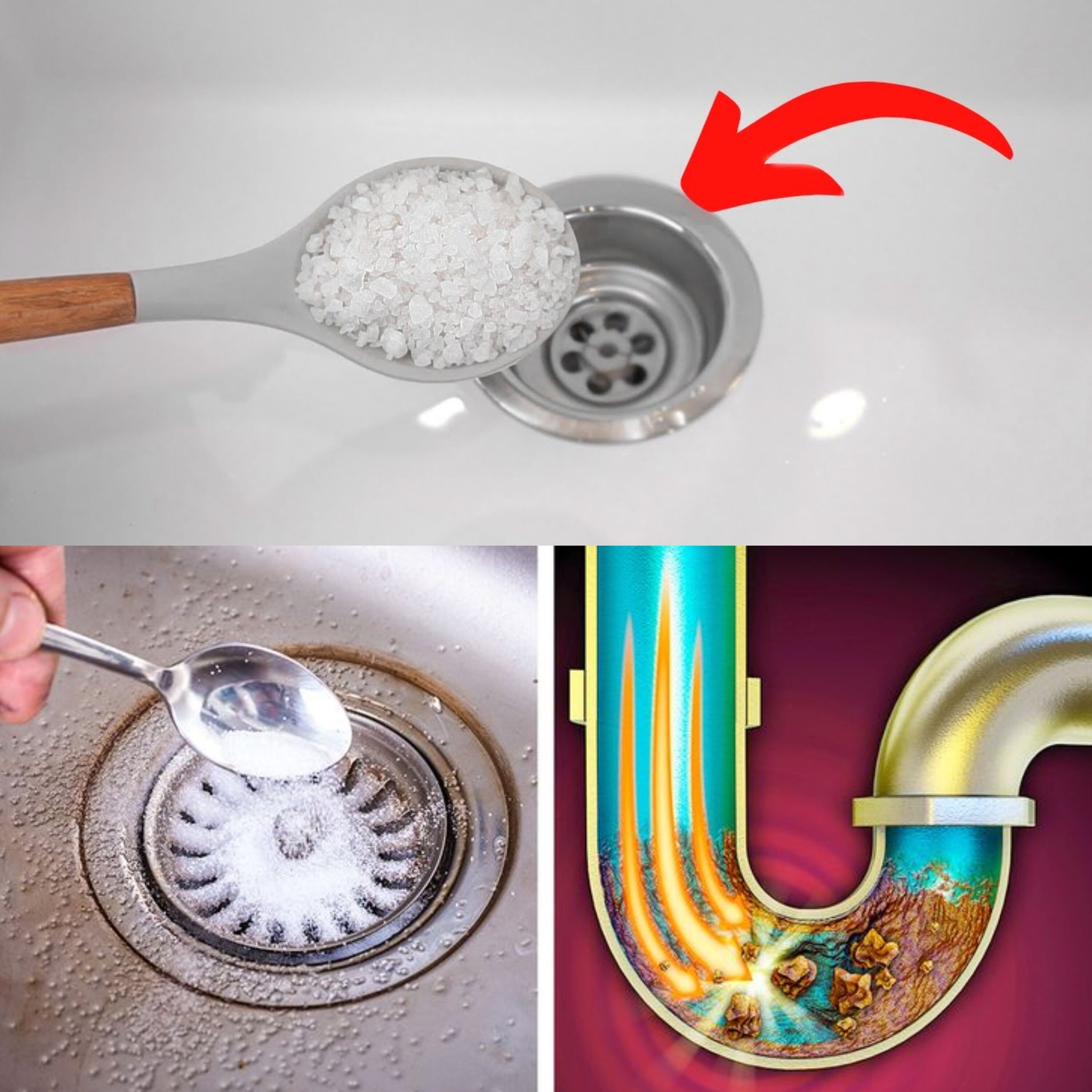 495235101 714269654891673 1669962226346632955 N