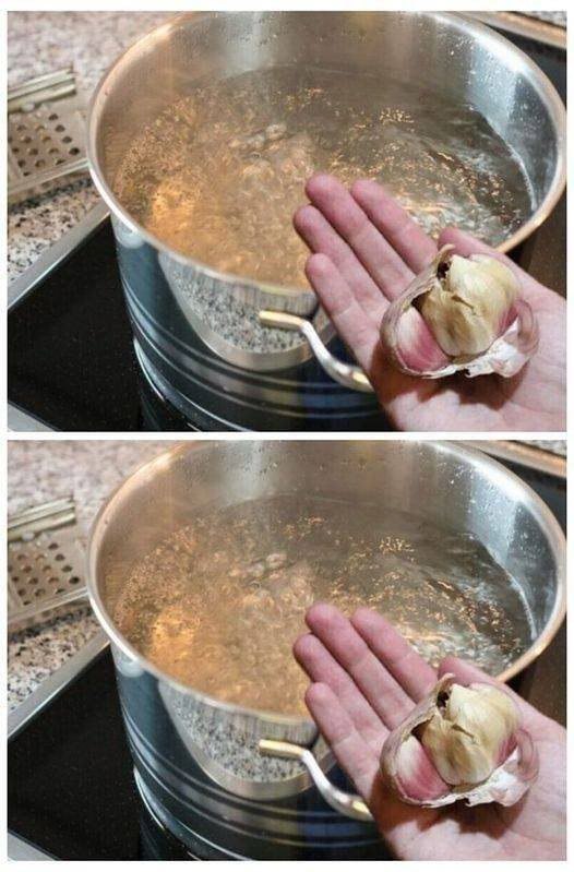 495306007 122192735456279931 3942606673569810039 N