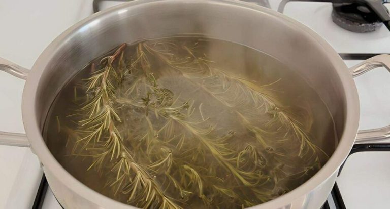 495437962 122192685464279931 1199018527894535901 N