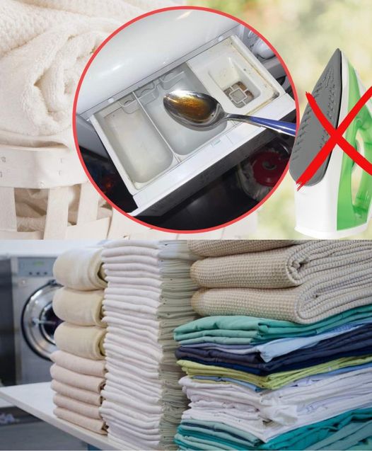 495437967 122192695826279931 1413625698427972000 N