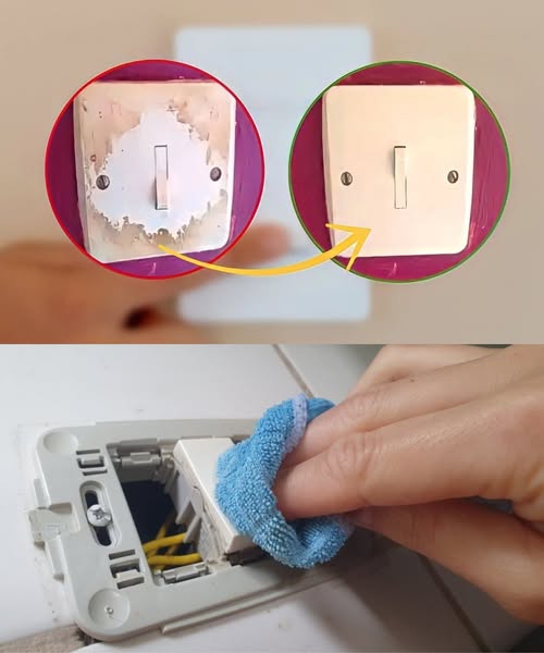 495592199 122193737804279931 6846764294516024665 N