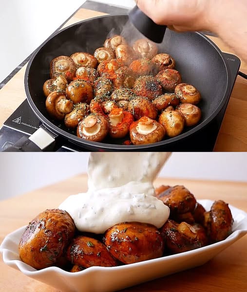 495650178 122193730154279931 1629261466240956025 N