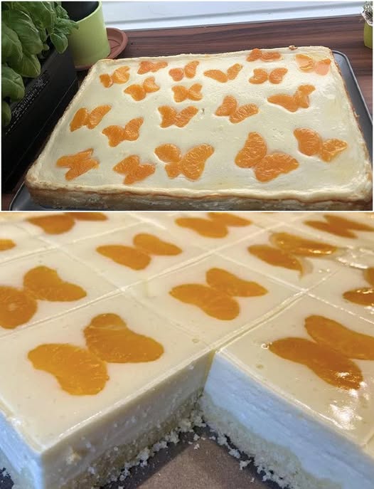 496299601 122193719048279931 2257849351203257826 N