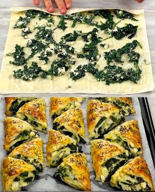 496492642 122193731774279931 8884645264333231486 N