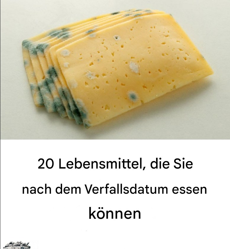 496753363 122194190066279931 1518977485242497057 N