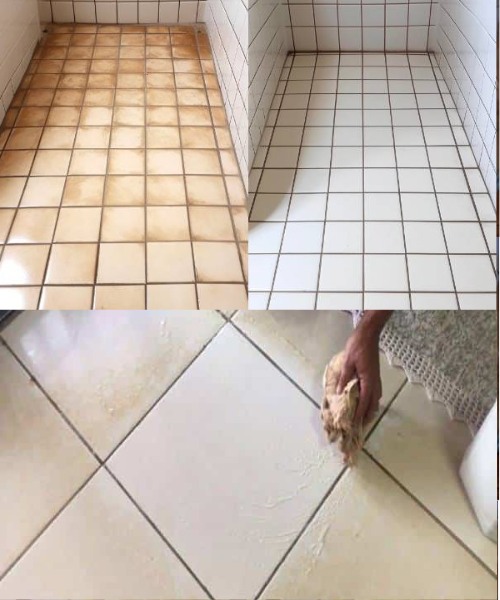 496940446 122193776090279931 127850744784644472 N