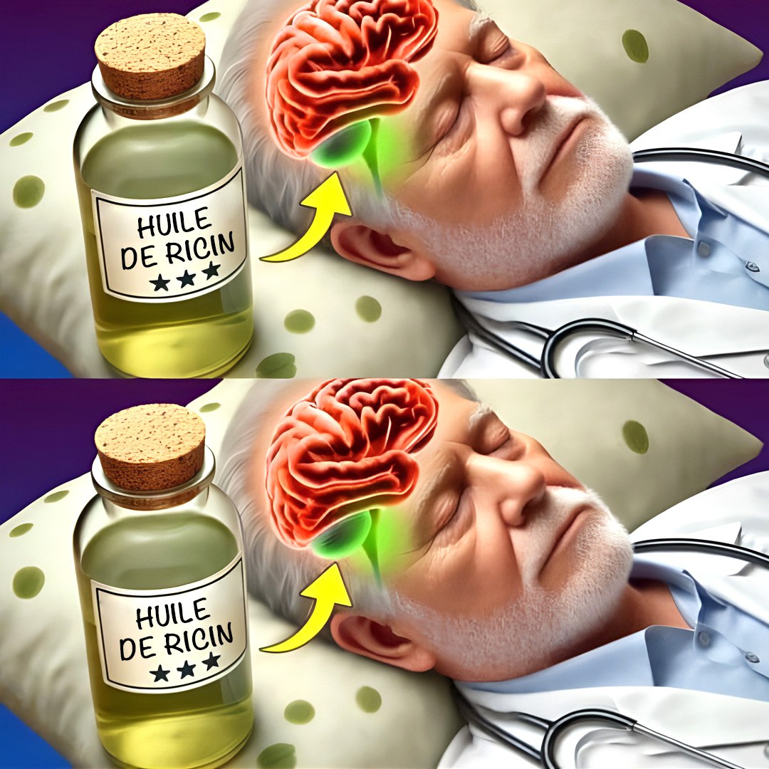 497670420 122195491178279931 4231473652618580054 N