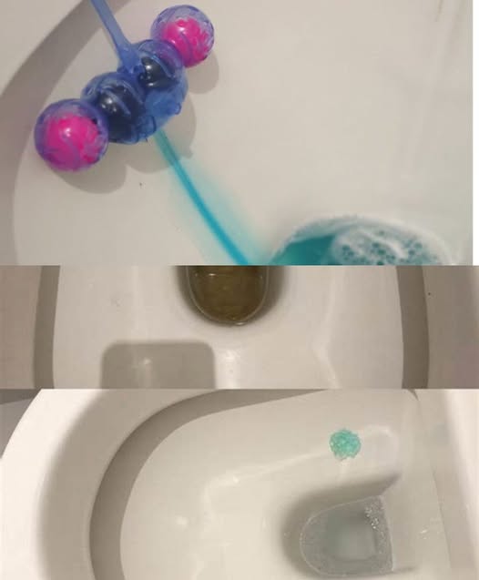 497742281 122194346594279931 1165565256592164806 N