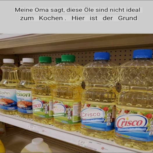 497803223 122194665512279931 1765997594983115710 N (1)