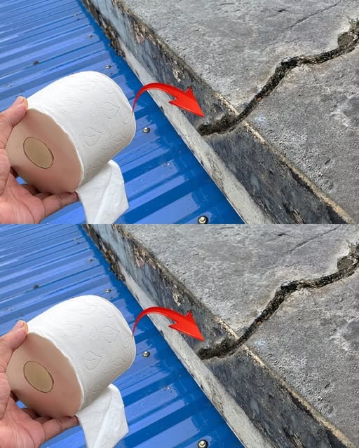 497806587 122194657970279931 4580023272000201304 N (1)