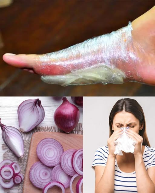 498130918 122194713560279931 7042300627604268192 N