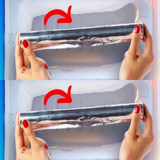 498974081 122194659032279931 7999140637957381171 N