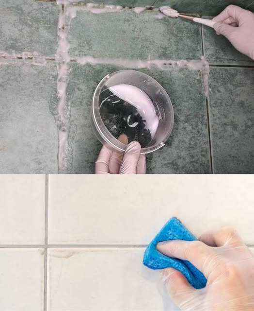 499066154 122194677908279931 6697303759966931630 N