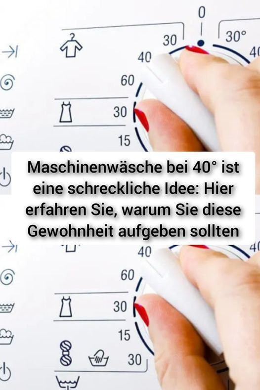 499460006 122195743898279931 6392486237765833323 N