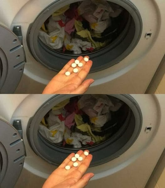 487552987 122199596930103848 2477896949505363264 N