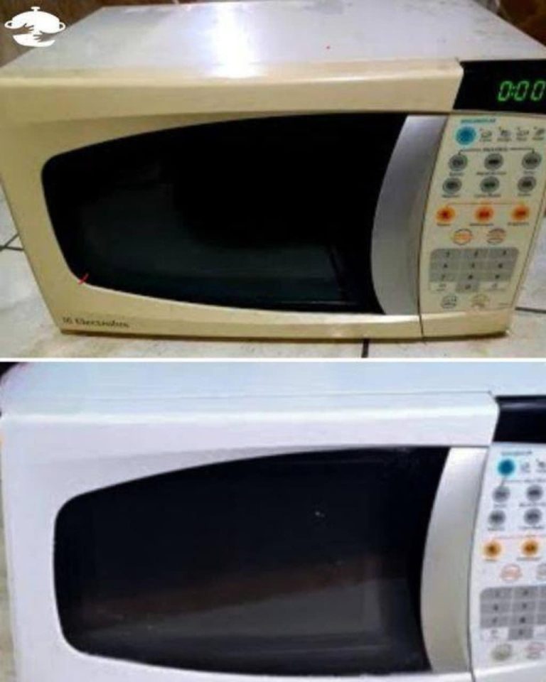 497515481 122206226708103848 4918225851750375560 N