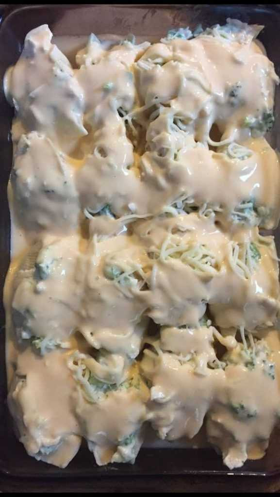 499582418 122206693910103848 8112537837243267574 N