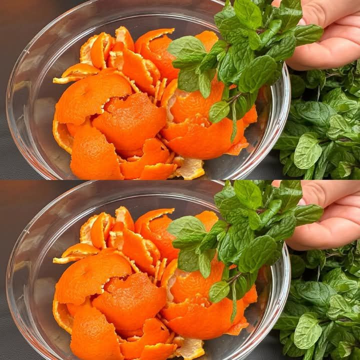 499861556 122206695854103848 4500839421989283138 N