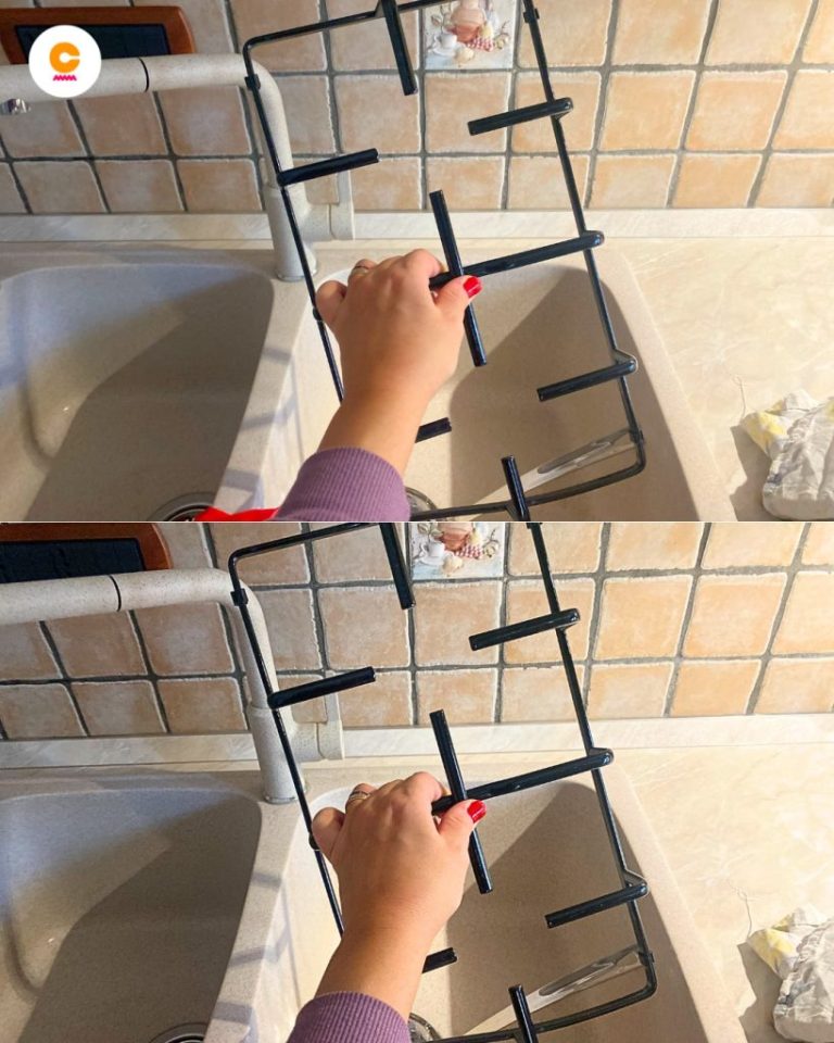 503352949 122197749710279931 6142302276727368657 N