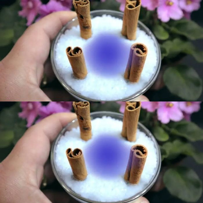 503987642 122209038380103848 3535756863412762830 N