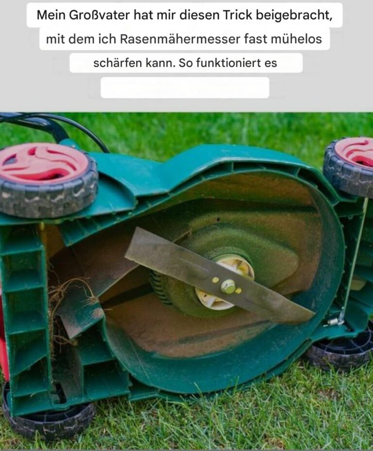 505275764 122198981150279931 6536969149179282944 N