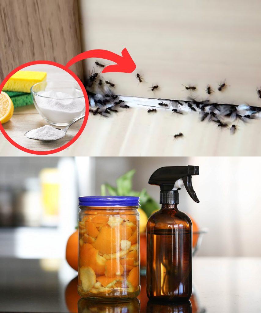 507971117 122199899108279931 2460987735340920203 N