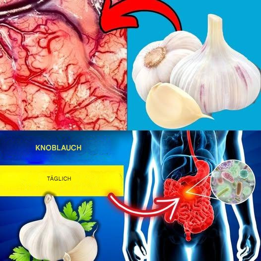 508009610 122200043060279931 2381340294410262727 N