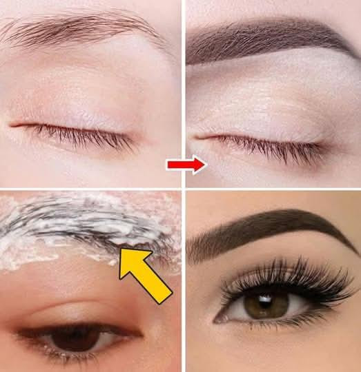 508129319 122199898040279931 8169331121843270531 N