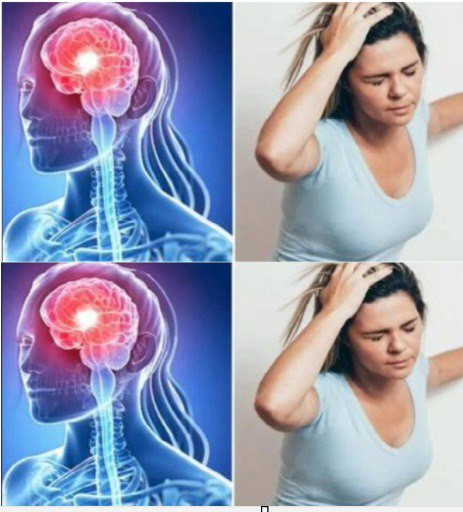 508689211 122200855580279931 3243677065851166332 N