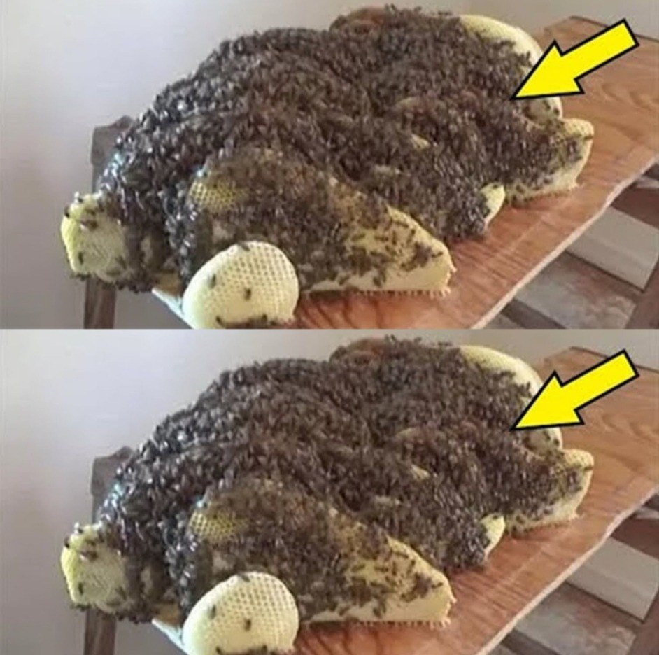 509430187 122201144198279931 4795343847030347499 N