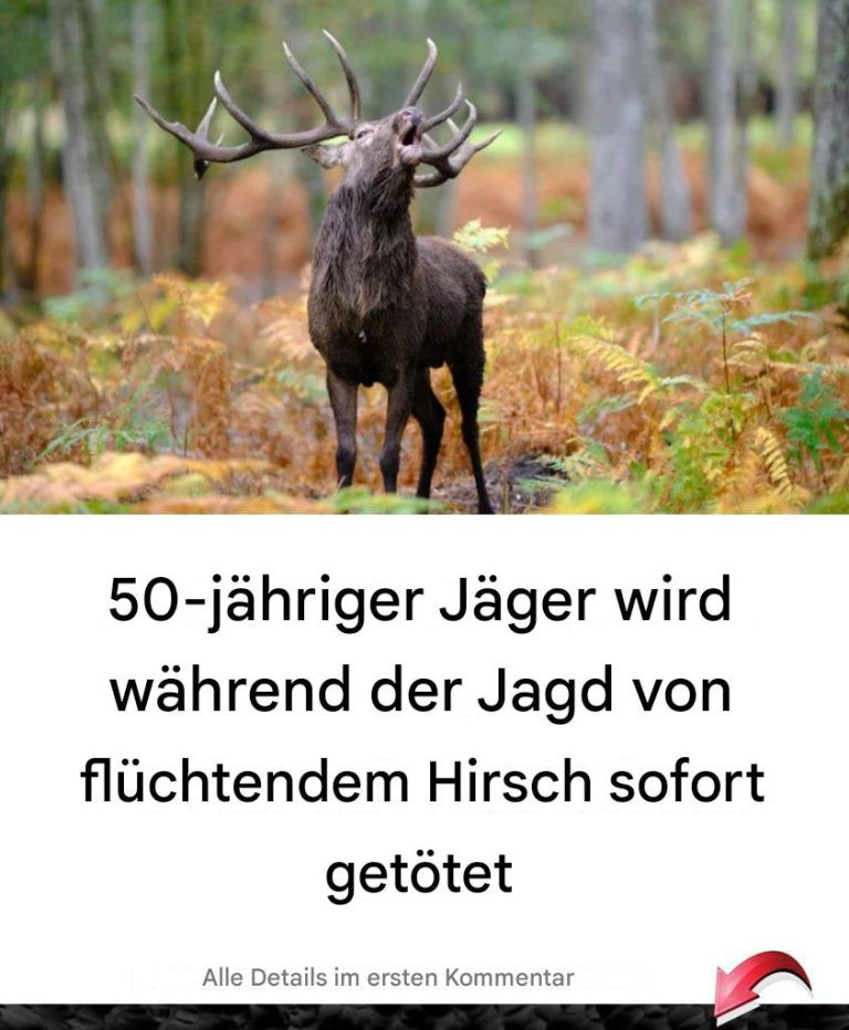 510983007 122201610242279931 1725049945171303325 N