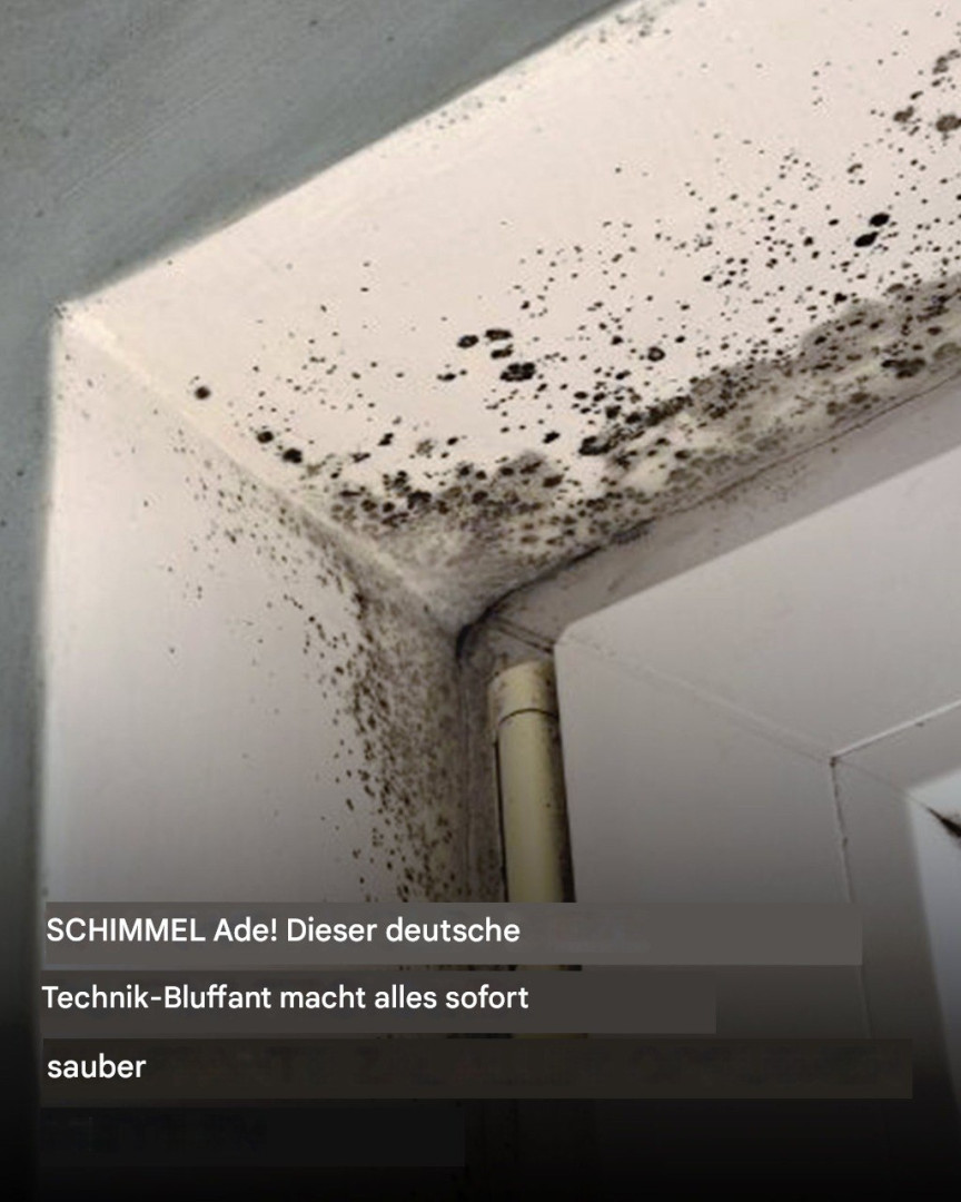 513933685 122202157442279931 9102767880684878427 N