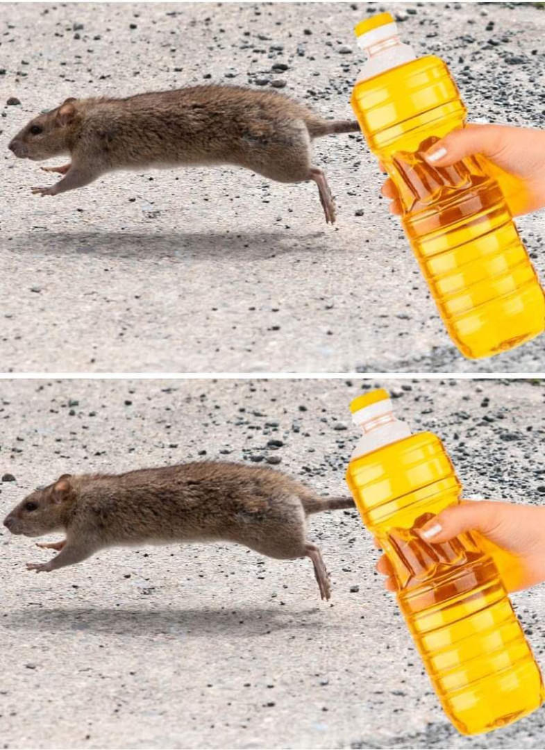 514047730 122202288074279931 4472139730837439439 N