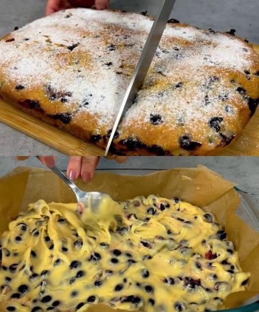 502553381 588774257573380 883612