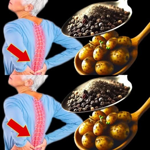 511757664 606516995799106 430627