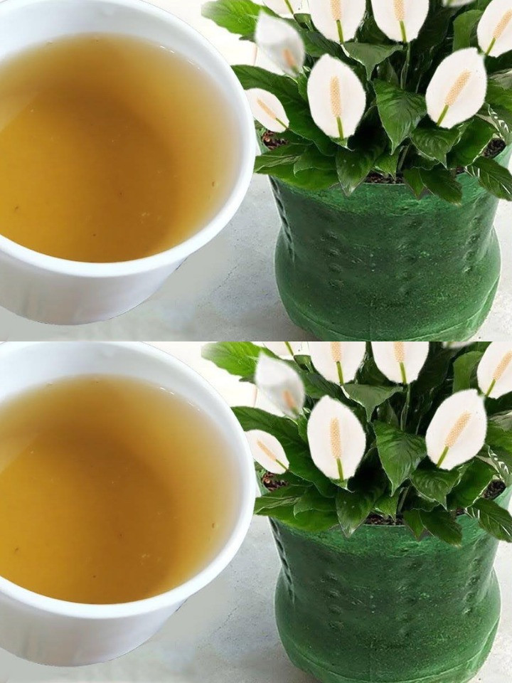 515219073 122203249406279931 1099148679313208671 N