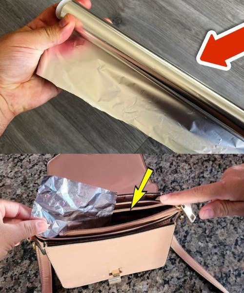 516547155 122203250114279931 7246623553438349435 N