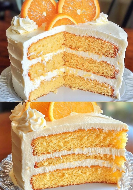 516599500 122204138438279931 2206649243926630272 N