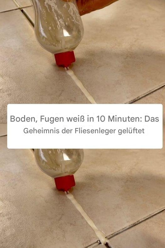 518182642 122204100086279931 87160775301897816 N