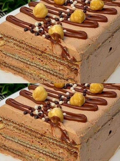 518258820 122204097368279931 1678226861304127239 N