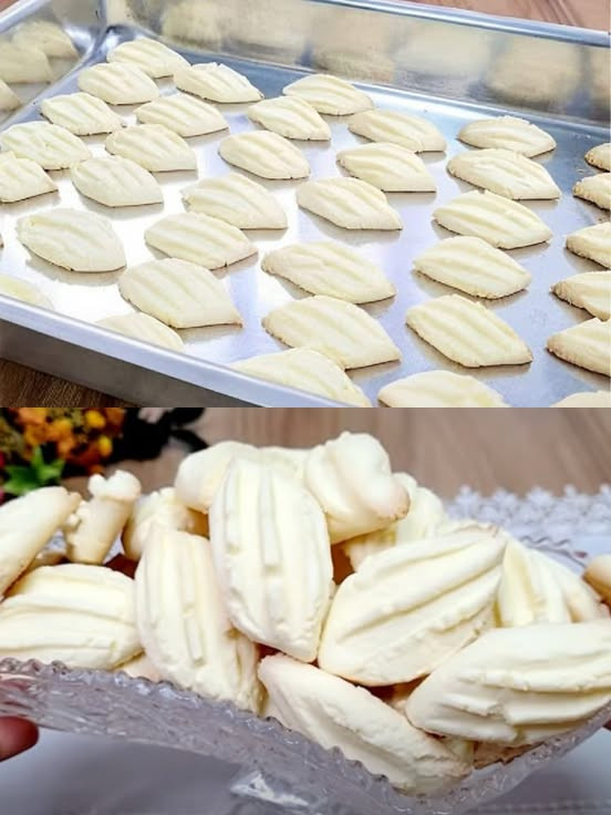 518273749 122204295548279931 328662008010024478 N