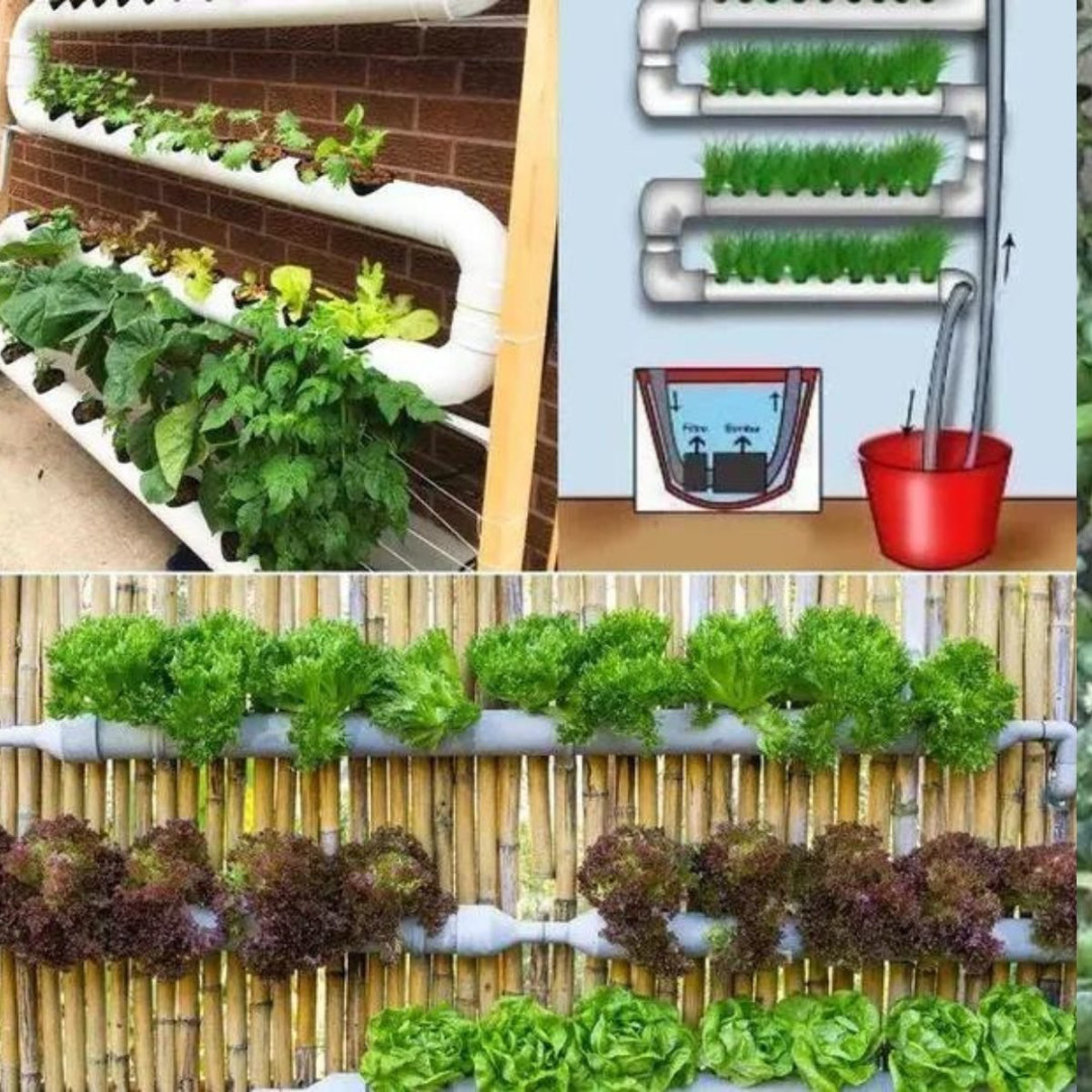 518280575 122204549144279931 8879358994757745055 N