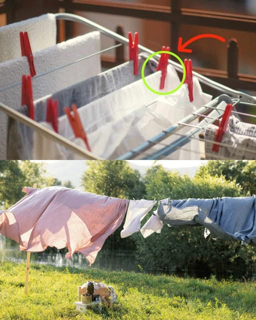 518281487 122204556086279931 4099659315640429876 N