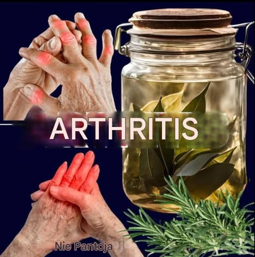 518290442 122204096636279931 3762737841856019034 N