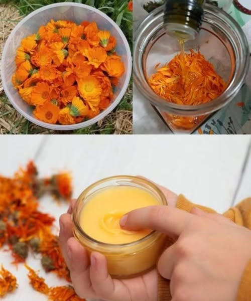 518308064 122204557124279931 4614096948003919902 N