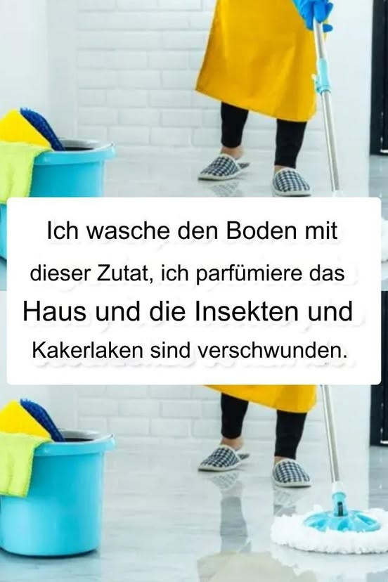 518319904 122204294972279931 1830758630029517811 N
