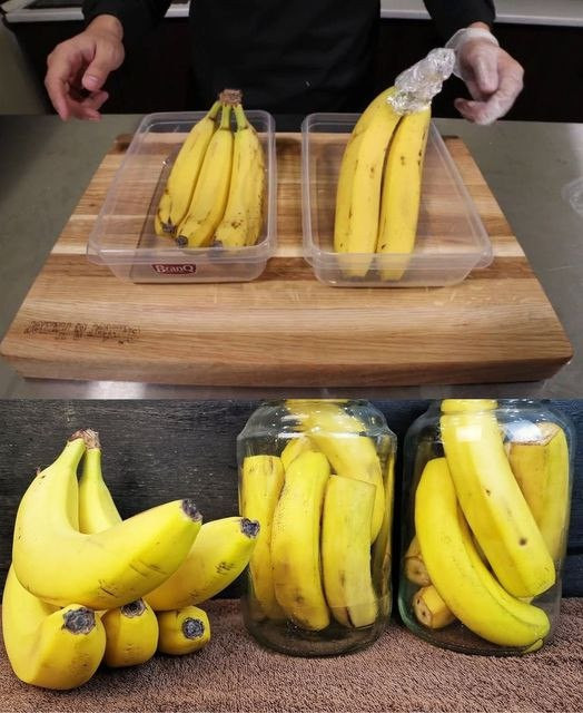 518342912 122204557970279931 8087401566445461147 N