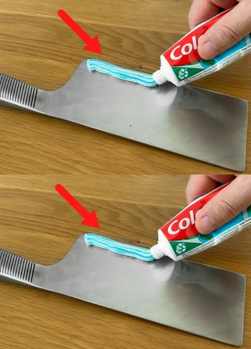 518344851 122204540348279931 7106509381188259662 N