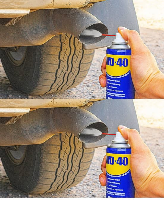 518347150 122204580380279931 5045937616674134800 N