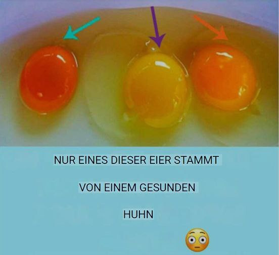 518355225 122206057136279931 3498627349620754653 N